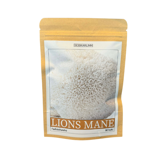 Seiðkarlinn Lions Mane 500mg 90 hylki