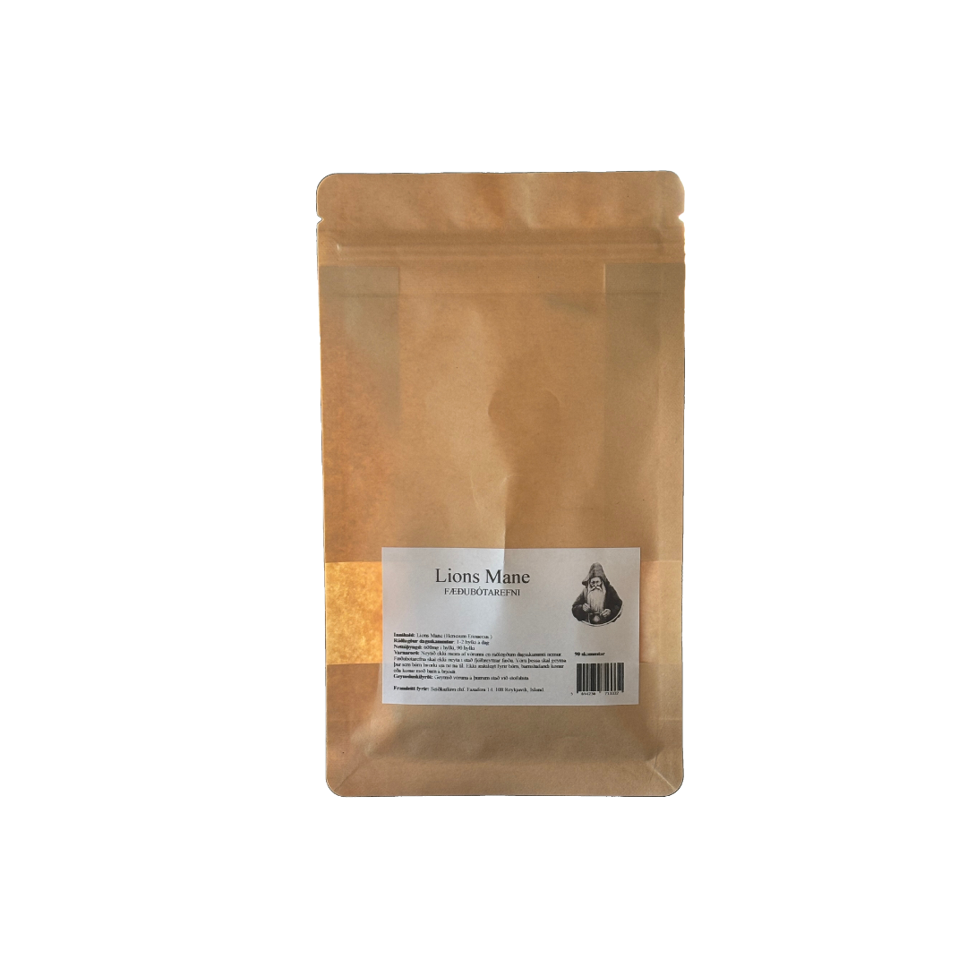 Seiðkarlinn Lions Mane 500mg 90 hylki