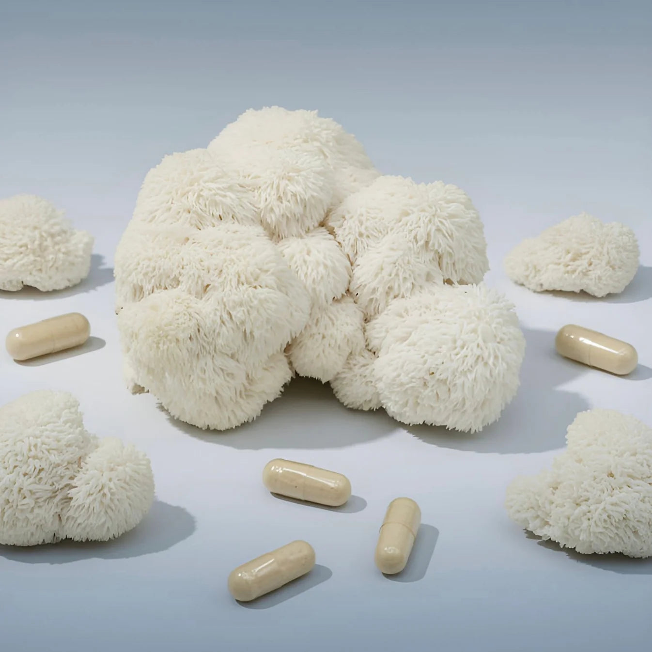 North Tropics Lions Mane 400mg 60 hylki